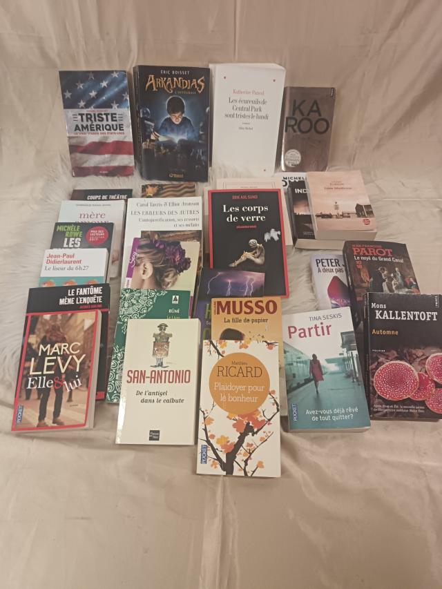Livros em Alfândega do Aeroporto de Lisboa