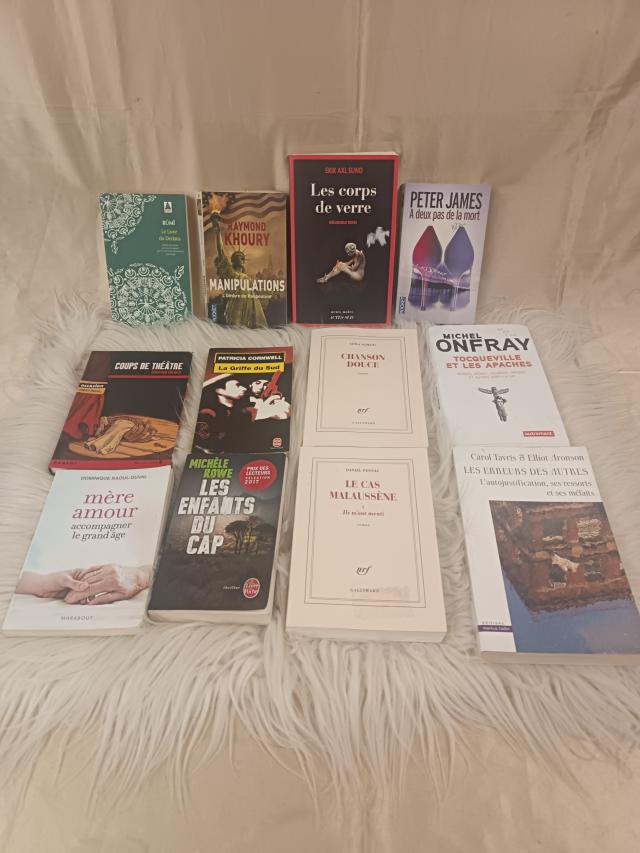 Livros em Alfândega do Aeroporto de Lisboa