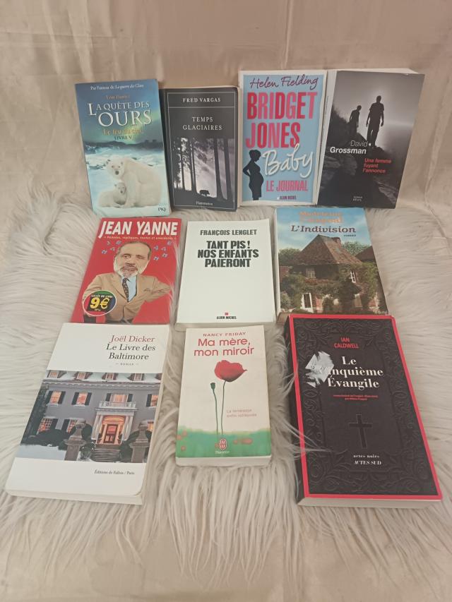 Livros em Alfândega do Aeroporto de Lisboa