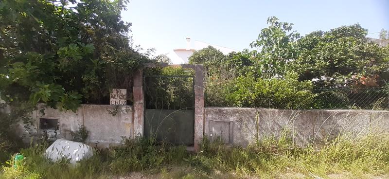Imóveis em SANTO ANTONIO DA CHARNECA