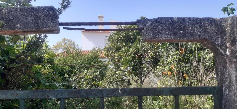 Imóveis em SANTO ANTONIO DA CHARNECA