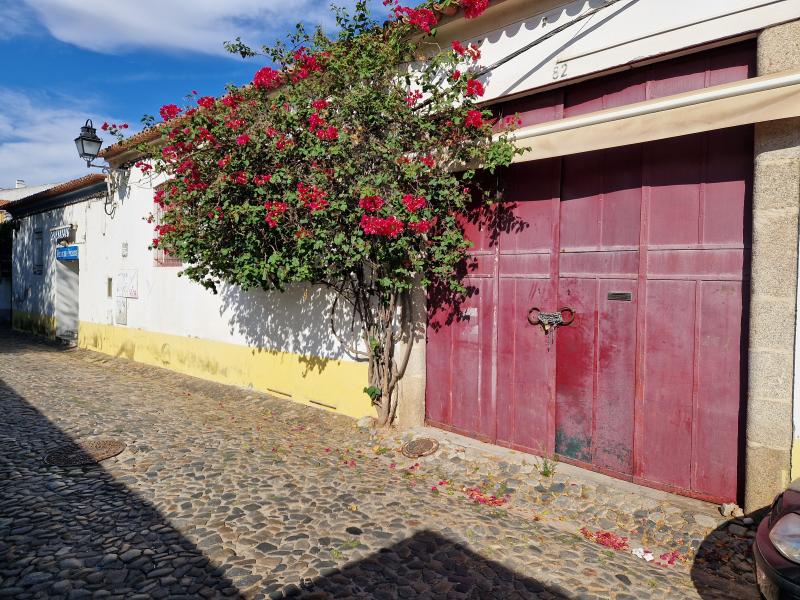 Rua Romão Ramalho n.º 82 e 84 7000-132 Évora, prédio em propriedade total sem andares nem divisões suscetíveis de utilização independente composto por R/C com 2 divisões, destinado a Serviços; n.º Pisos: 1 (Évora (são Mamede, Sé, São Pedro e Santo Antão)) 3