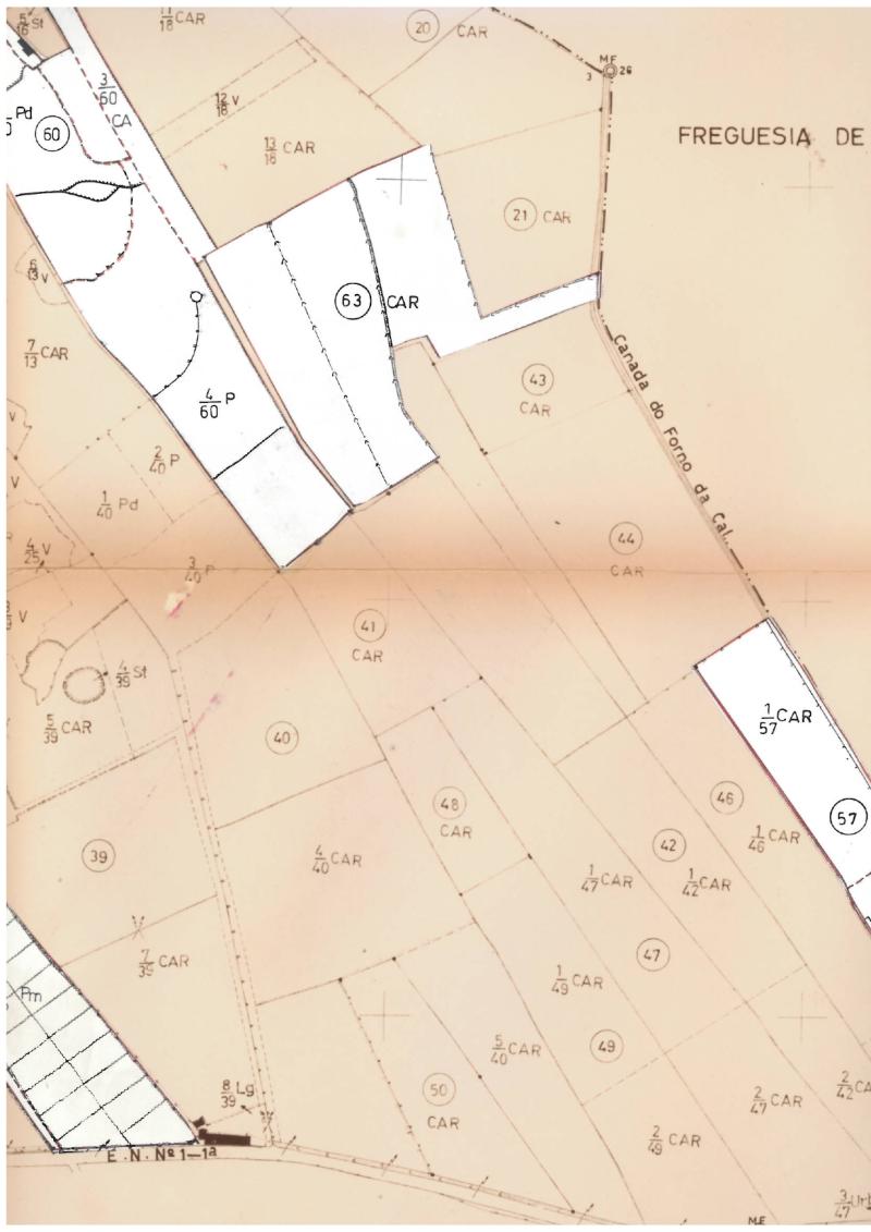 Canada do Forno da Cal, freguesia de Ribeira Grande (Matriz), concelho de Ribeira Grande, composto por cultura arvense de regadio, área: 10040 m2, com um valor patrimonial atual (CIMI) de € 2.487,65 (Ribeira Grande (matriz)) 2