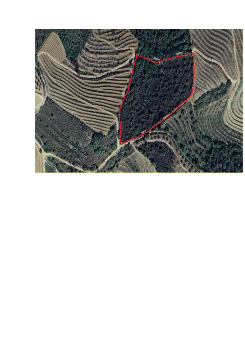 Imóveis em LONGROIVA