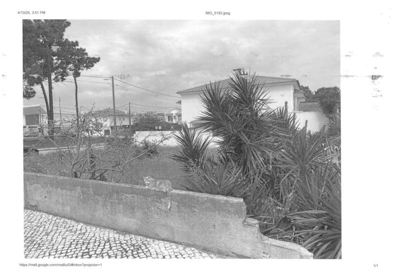 Boa Água 1, lote 1118 – 2975-001 – Quinta do Conde (Quinta do Conde) 3