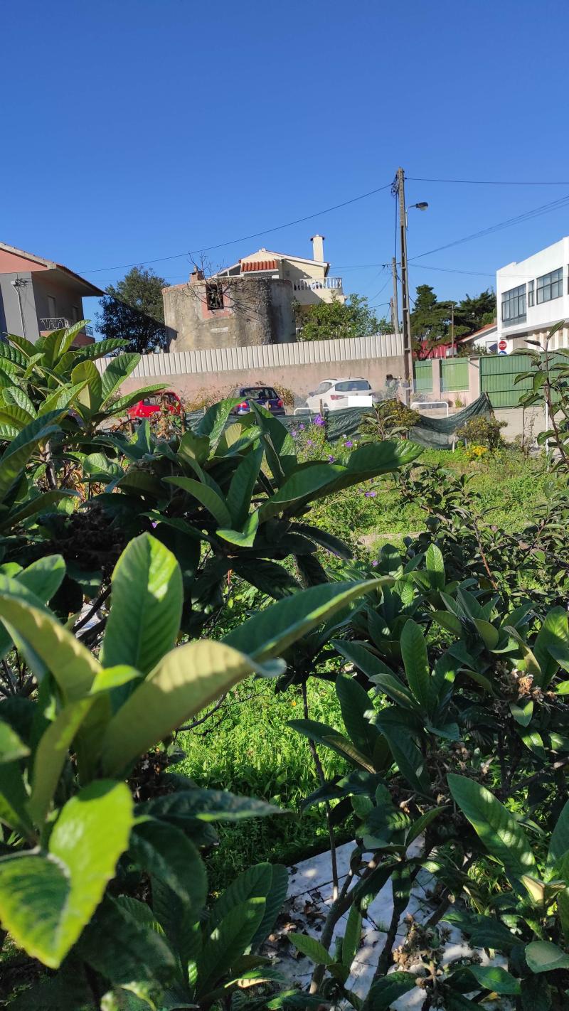 Venda AT 3433.2025.34