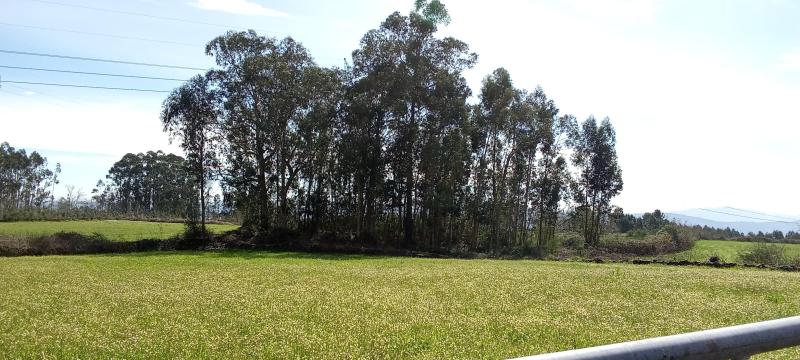 Venda AT 0418.2026.6