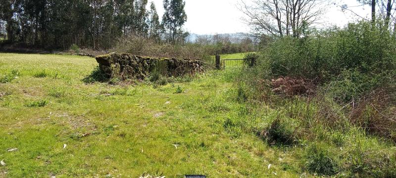 Tojal ou Alvar, com 250 m2 (Pedralva) 2