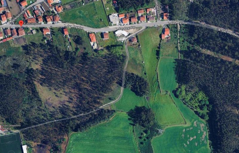 Tojal ou Alvar, com 250 m2 (Pedralva) 3