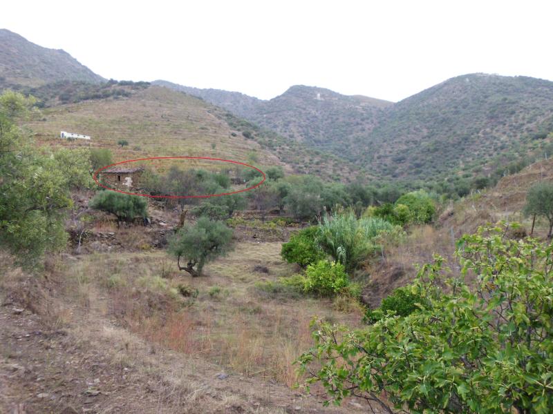 Venda AT 0493.2026.1