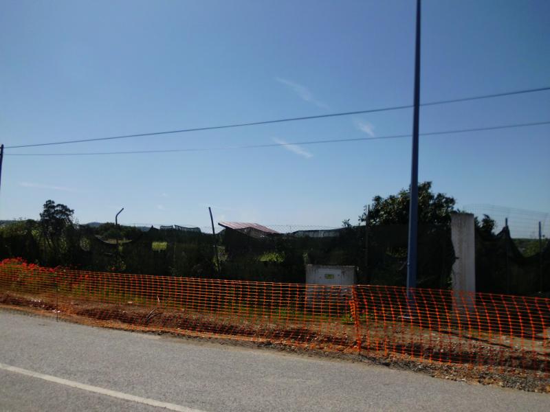 Estrada Nacional 383 – Oliveira da Loureira 7920-301 Vila Nova da Baronia, composto de Terreno para construção (Vila Nova da Baronia) 3