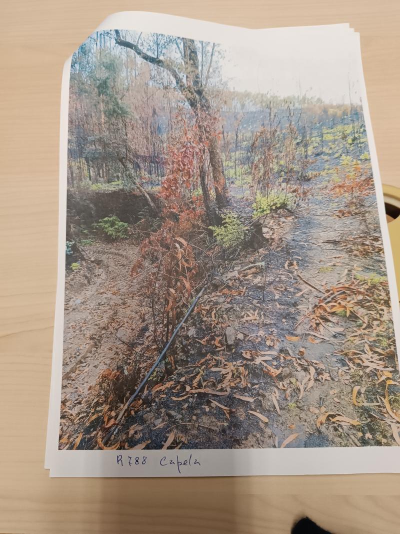 Cabroelo, denominado campo e testada de Erviselo de Cimo, composto a mato, estando o solo classificado no plano diretor municipal(PDM) do município de PENAFIEL, EM ÀREA REN (reserva ecológica nacional) (Capela) 2