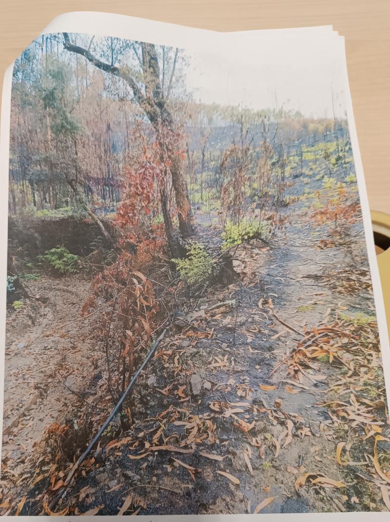 Cabroelo, denominado campo e testada de Erviselo de Cimo, composto a mato, estando o solo classificado no plano diretor municipal(PDM) do município de PENAFIEL, EM ÀREA REN (reserva ecológica nacional) (Capela) 3