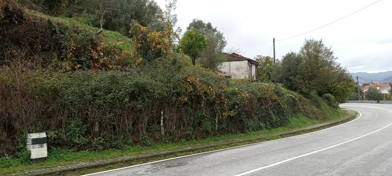 Almas (Salamonde) 4