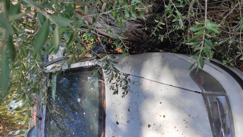 Veículos em CARCAVELOS E PAREDE