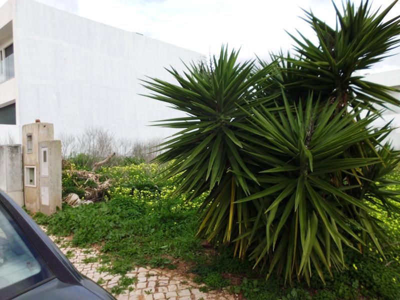 Pedreira, denominado Barrada, Lote 74, 8300-149 Silves, com a área Total de 168,0 m2, área de implantação do edifício de 100,0 m2, área bruta de construção de 200,0 m2 e área bruta dependente de 100,0 m2 (Silves) 3
